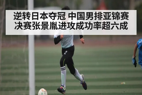 逆转日本夺冠 中国男排亚锦赛决赛张景胤进攻成功率超六成